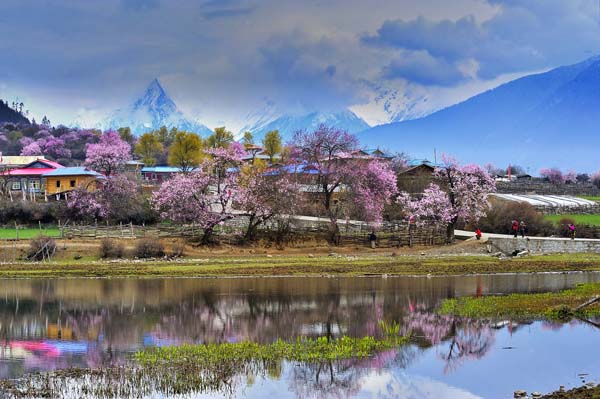 波密·桃花溝風景區(qū).jpg