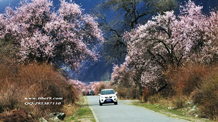 成都租車自駕旅游亮相繽紛五月