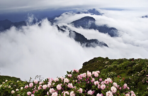 清明小長假自駕牛背山觀景